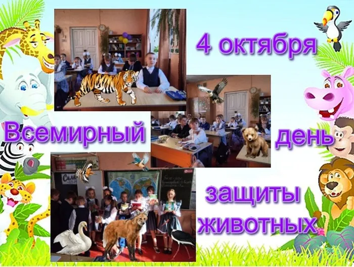 день защиты животных