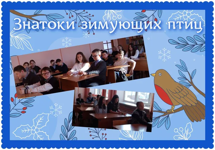 знатоки зимующих птиц